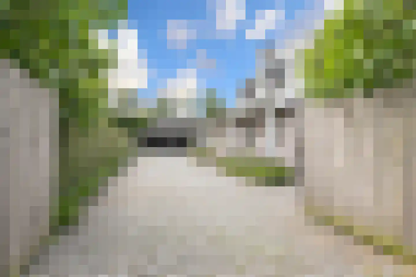 Bosweg 2 a Rockanje thumbnail 6