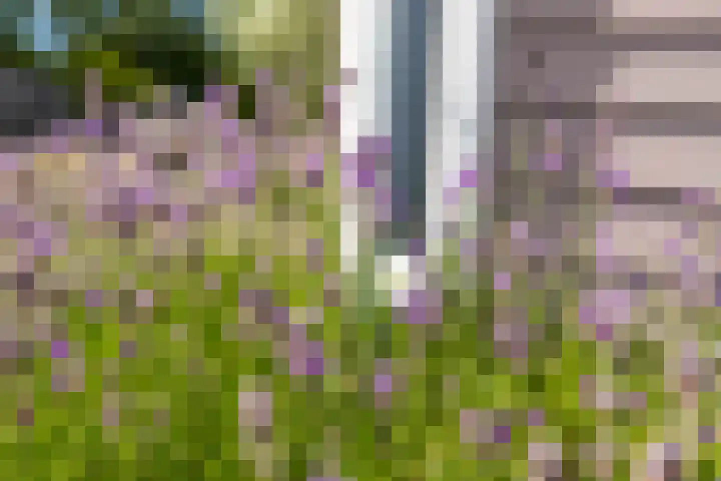 Bosweg 2 a Rockanje thumbnail 8