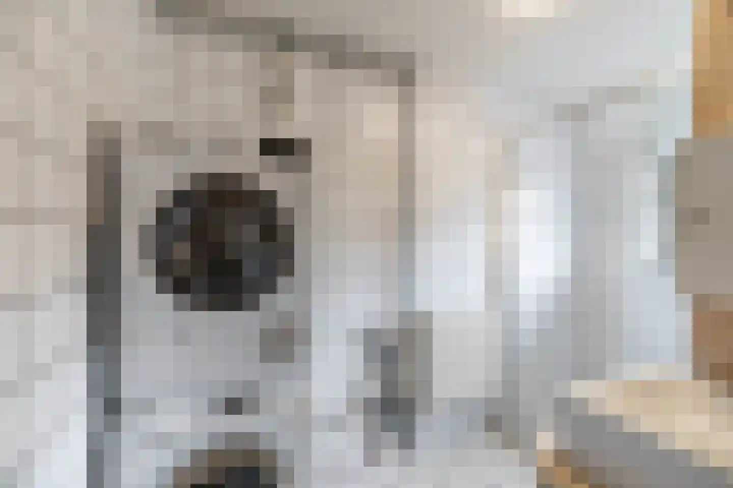 Bosweg 2 Anloo thumbnail 17