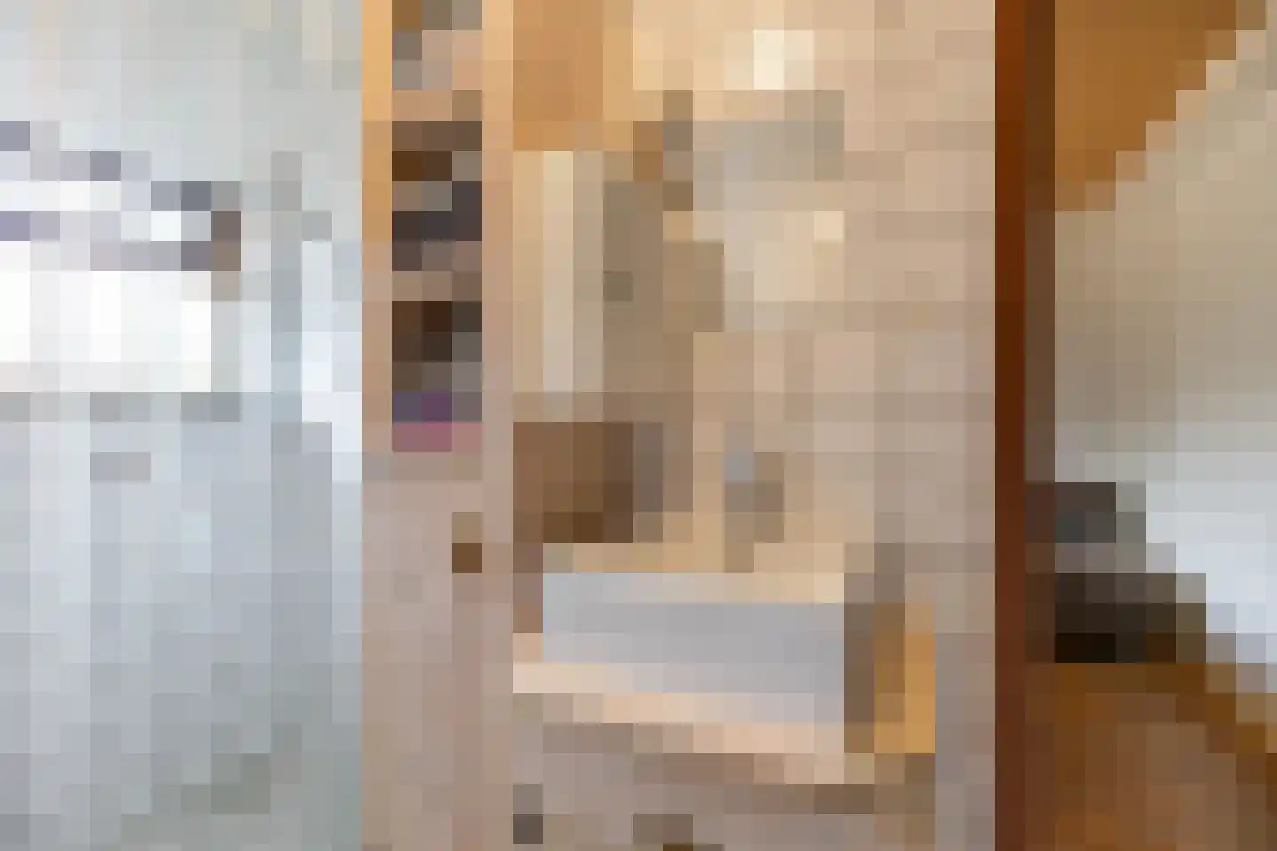 Bosweg 2 Anloo thumbnail 20