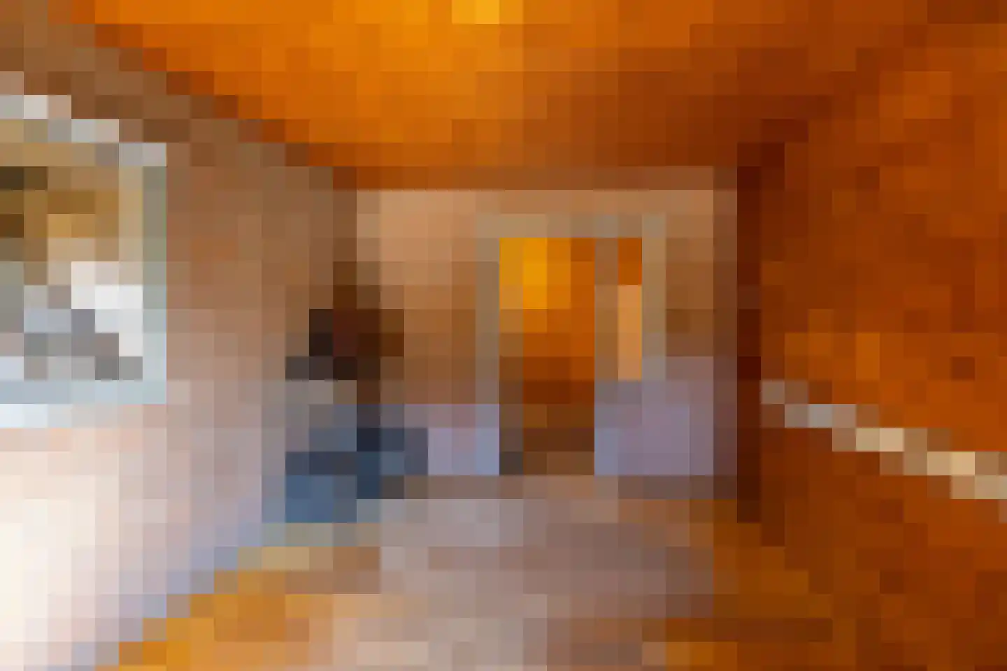 Bosweg 2 Anloo thumbnail 23