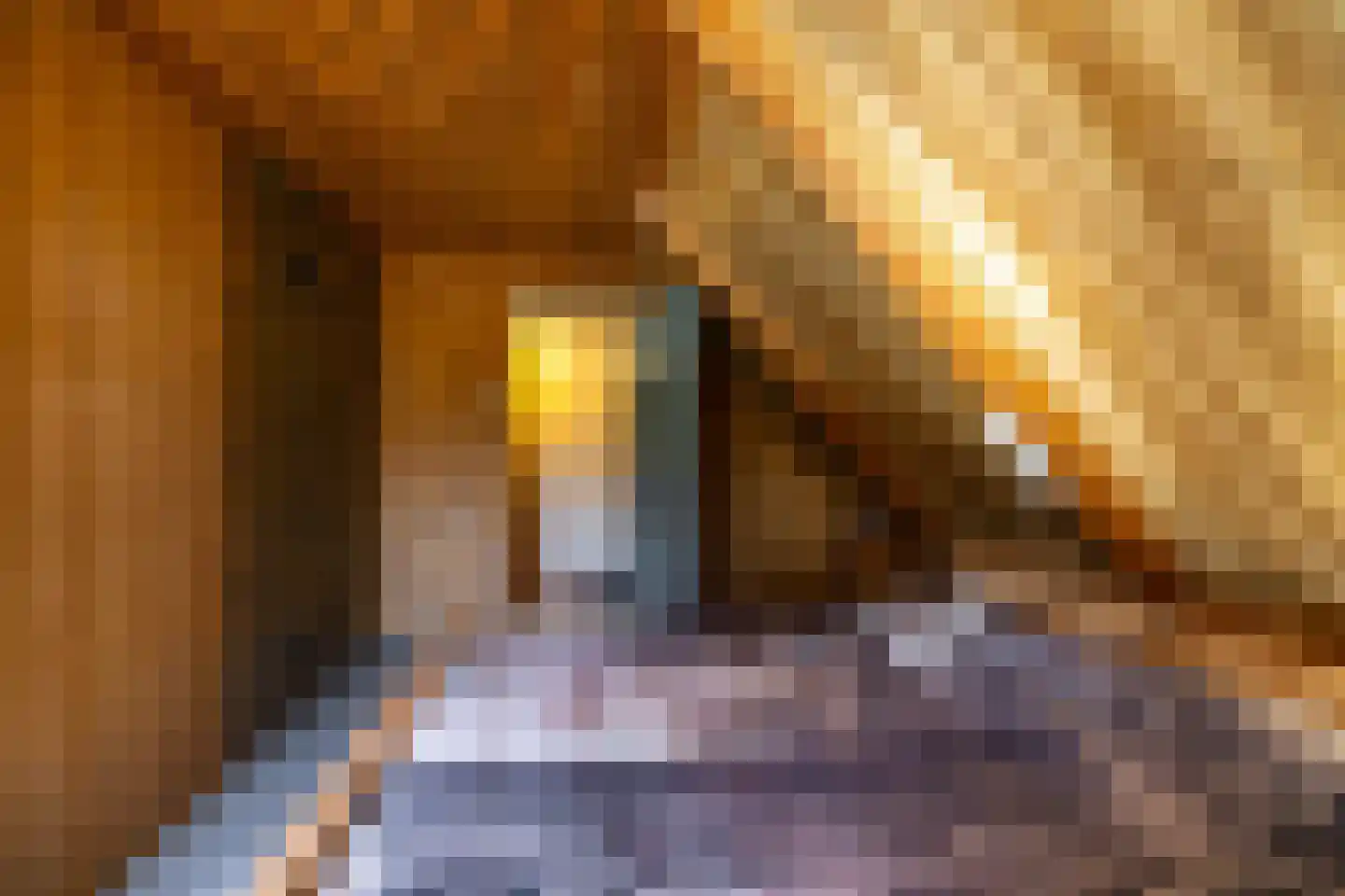 Bosweg 2 Anloo thumbnail 27