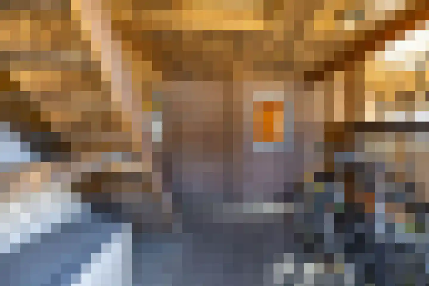 Bosweg 2 Anloo thumbnail 35