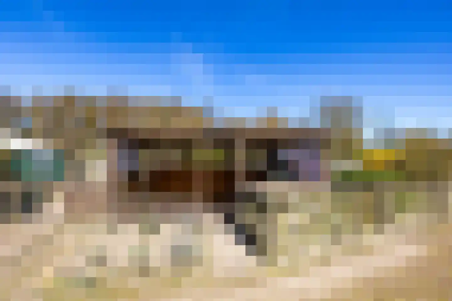 Bosweg 2 Anloo thumbnail 39