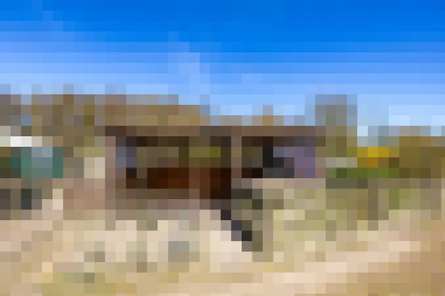 Bosweg 2 Anloo thumbnail 39