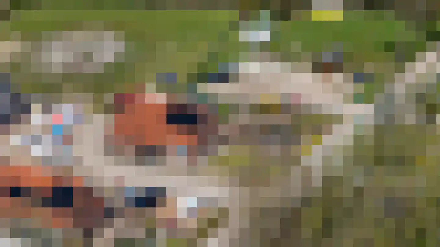 Bosweg 2 Anloo thumbnail 45
