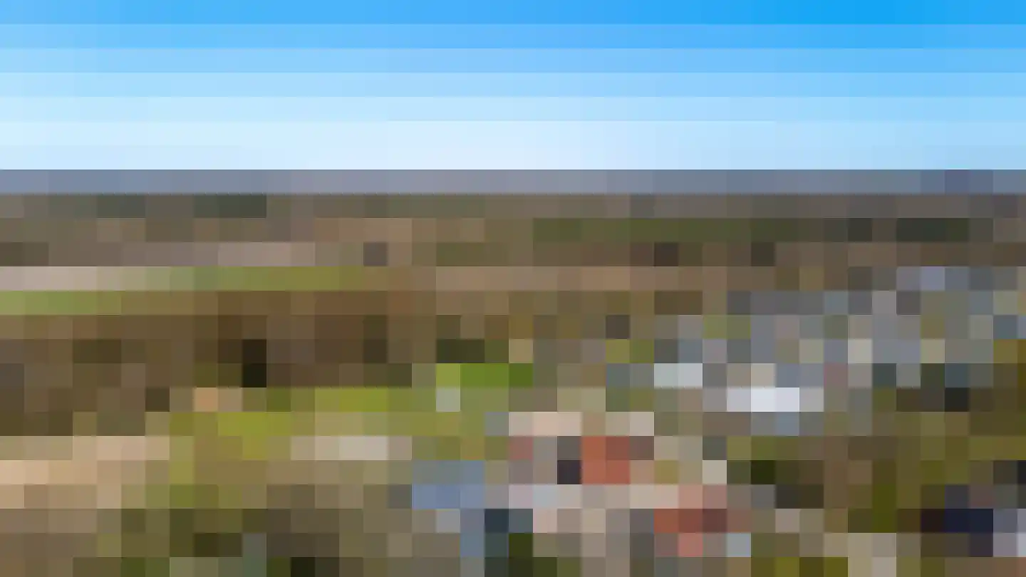 Bosweg 2 Anloo thumbnail 47