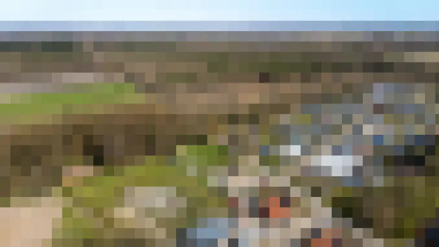 Bosweg 2 Anloo thumbnail 48