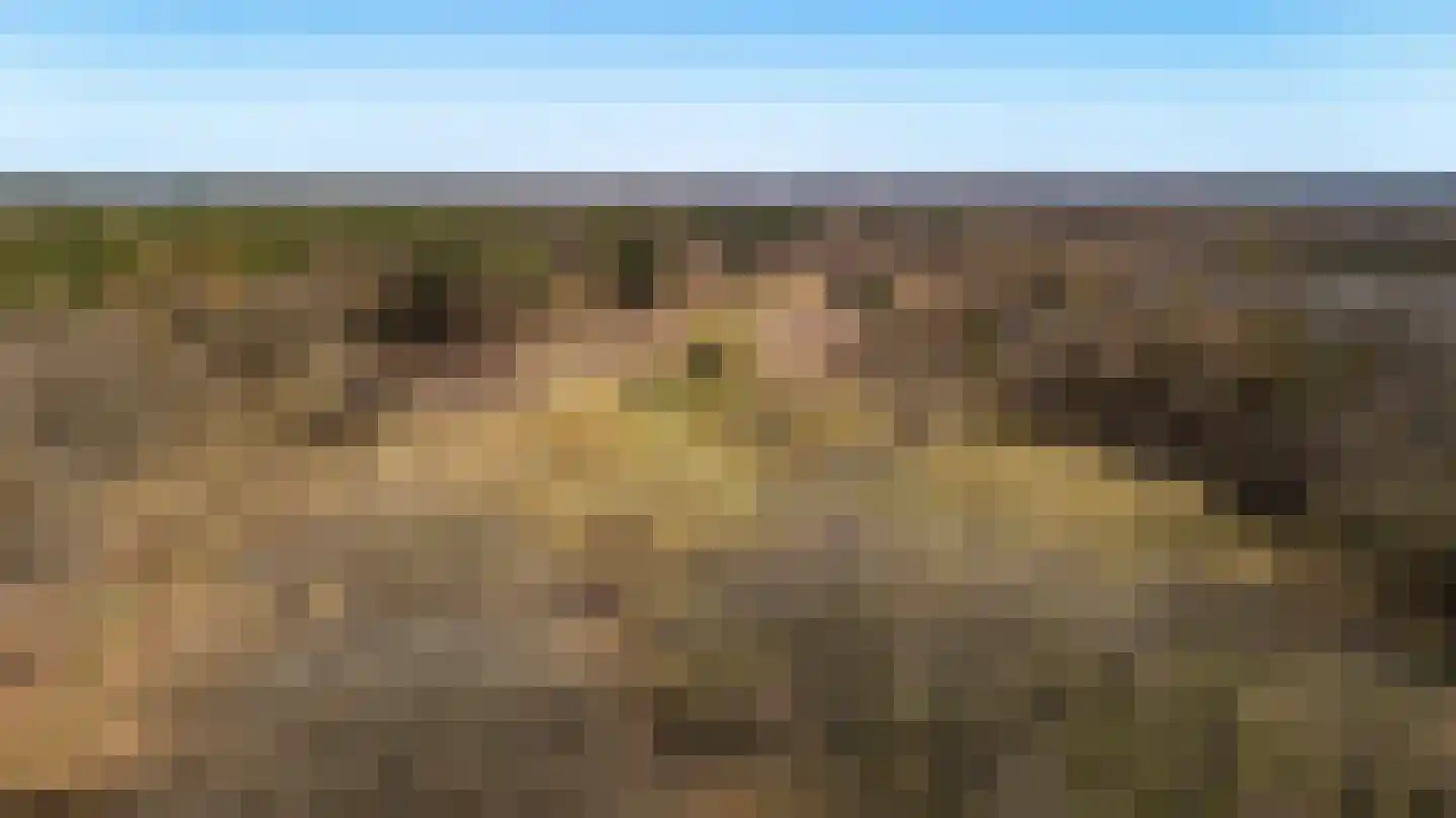 Bosweg 2 Anloo thumbnail 49