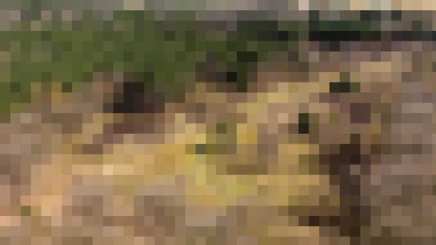 Bosweg 2 Anloo thumbnail 50