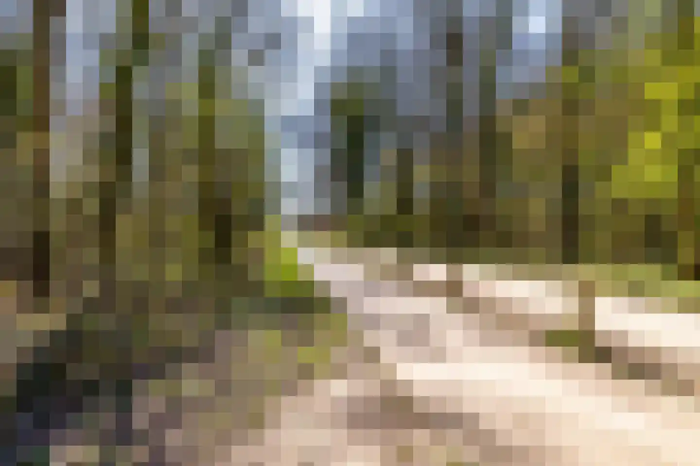 Bosweg 2 Anloo thumbnail 51