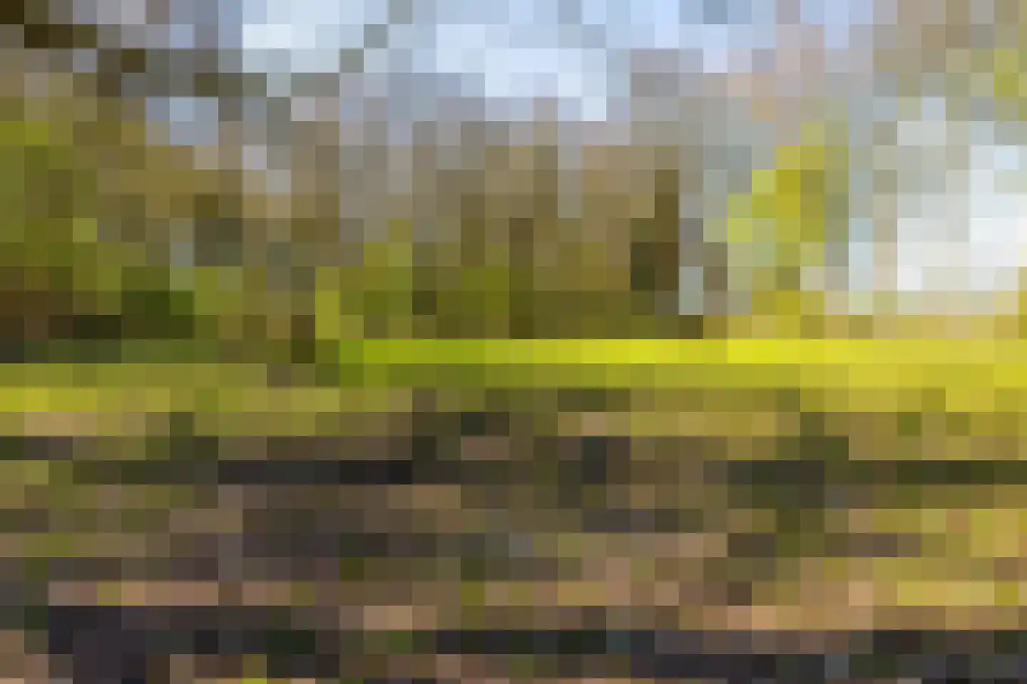 Bosweg 2 Anloo thumbnail 53