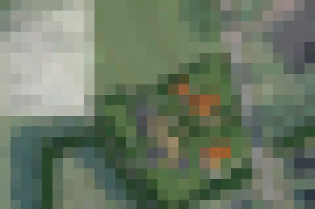 Bosweg 2 Anloo thumbnail 55