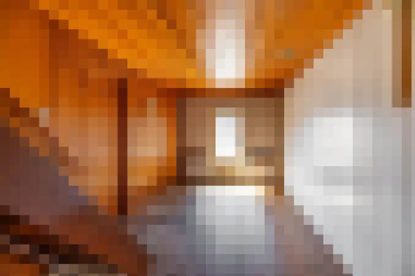 Bosweg 2 Anloo thumbnail 7
