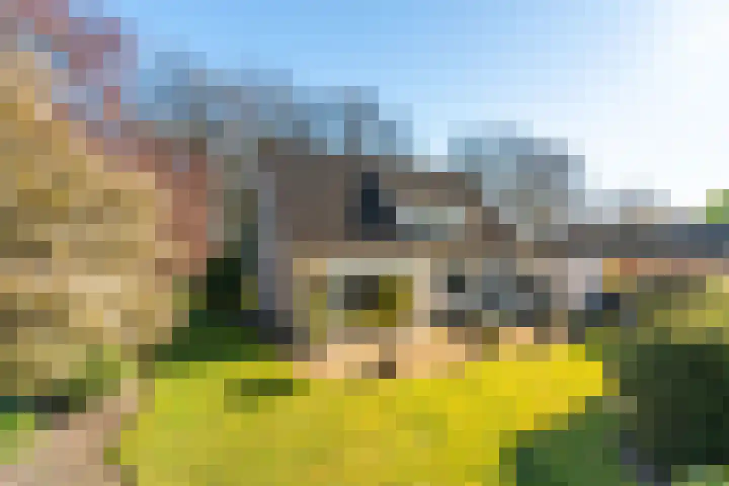 Bosweg 2 b Berg en Dal thumbnail 31