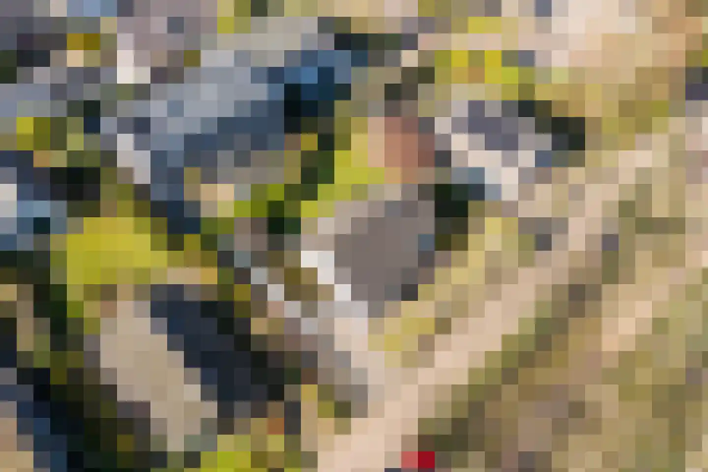 Bosweg 2 b Berg en Dal thumbnail 32