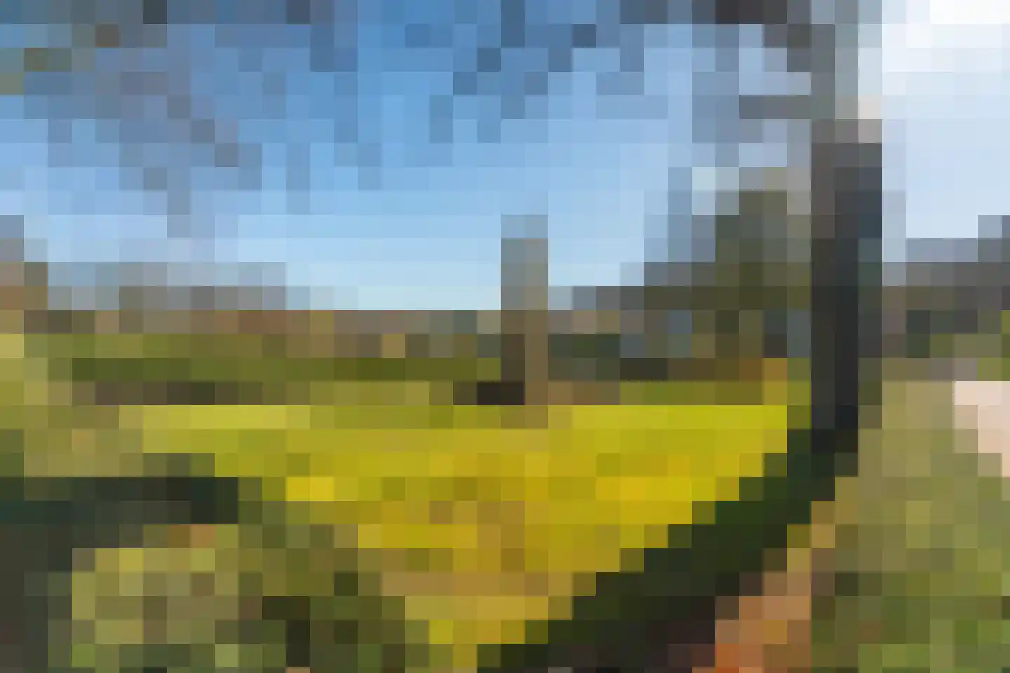 Bosweg 2 b Berg en Dal thumbnail 33