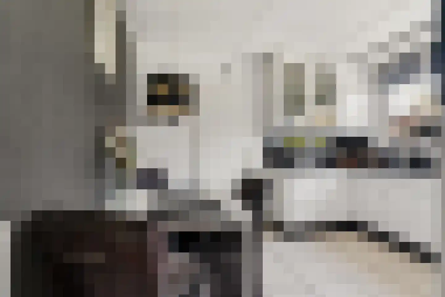 Bosweg 2 b Berg en Dal thumbnail 9
