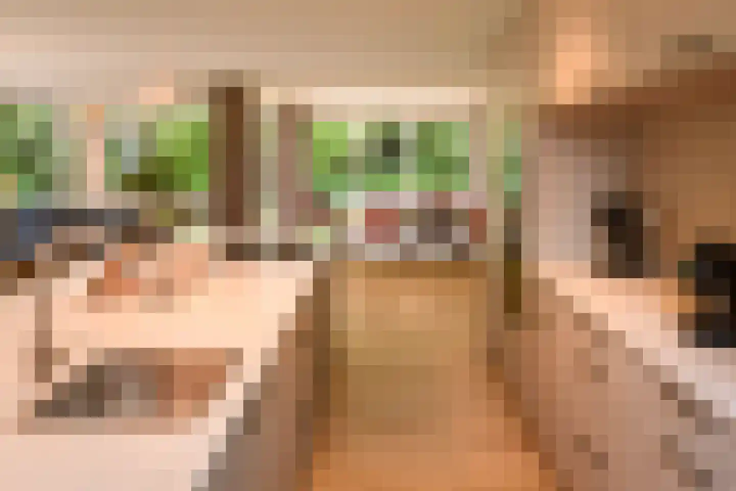 Bosweg 2 Gasselte thumbnail 14