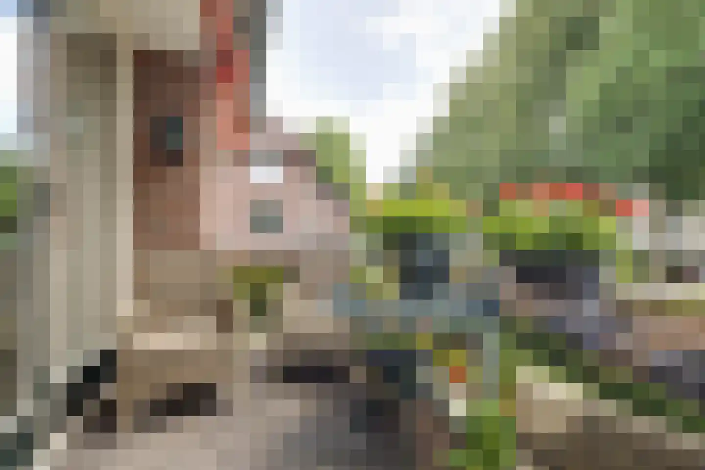 Bosweg 2 K Apeldoorn thumbnail 10