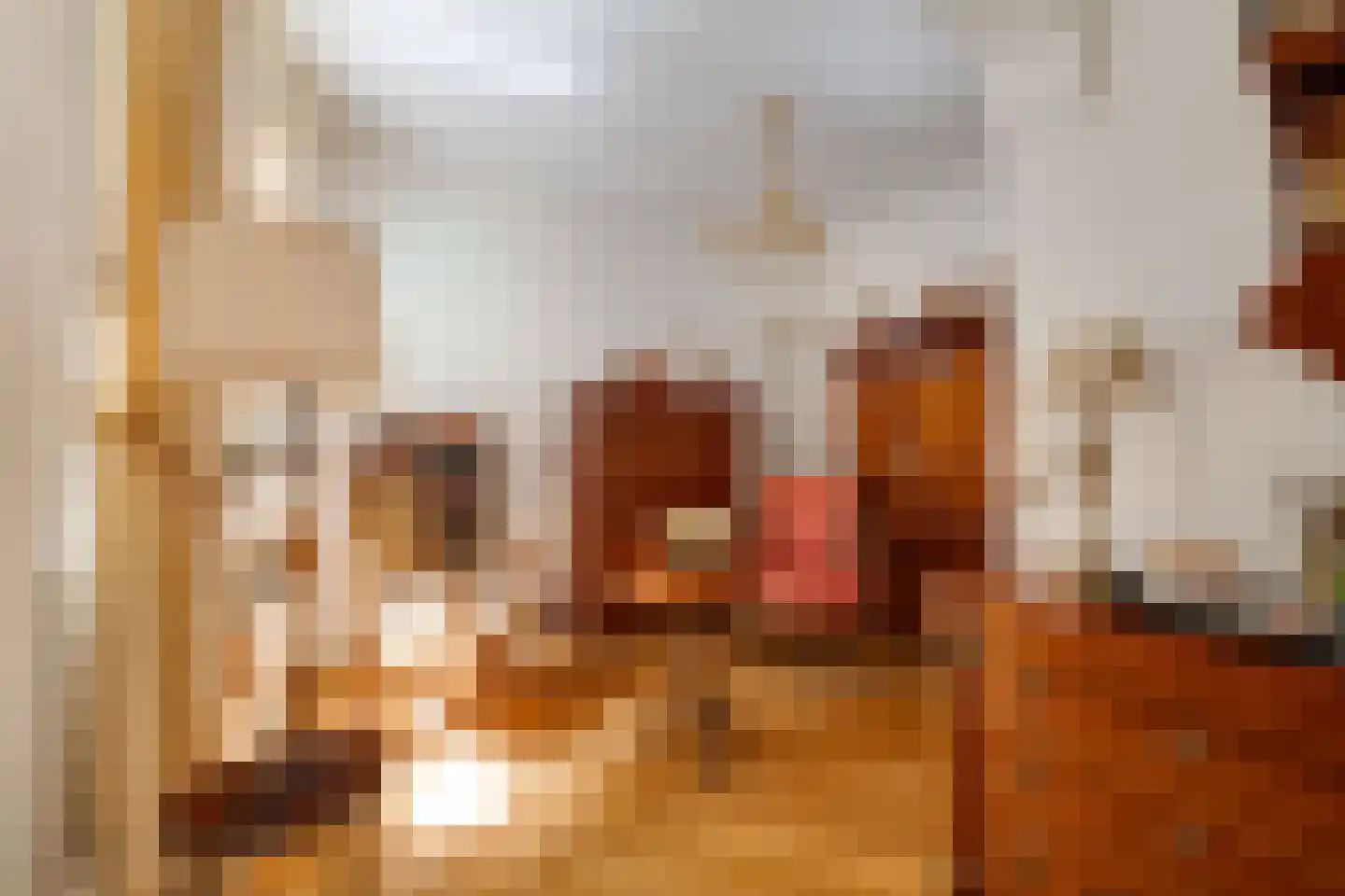 Bosweg 2 K Apeldoorn thumbnail 12