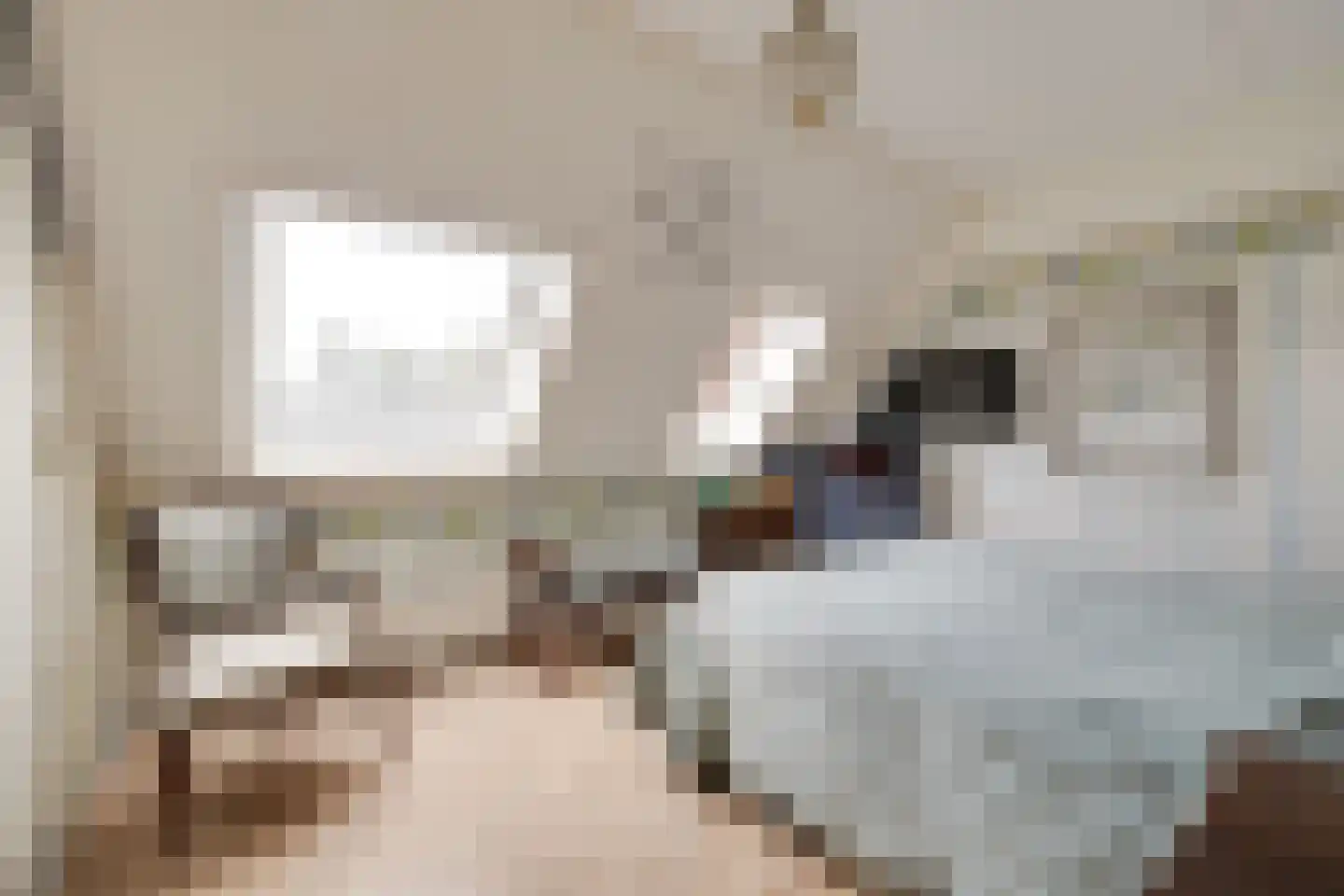 Bosweg 2 K Apeldoorn thumbnail 26