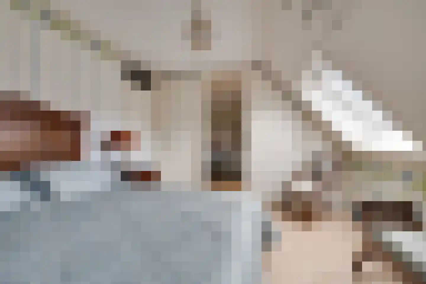 Bosweg 2 K Apeldoorn thumbnail 28