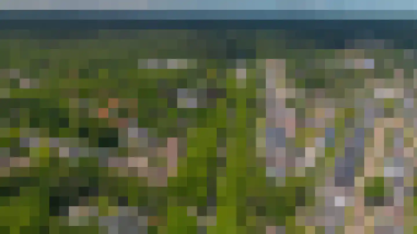 Bosweg 2 K Apeldoorn thumbnail 39