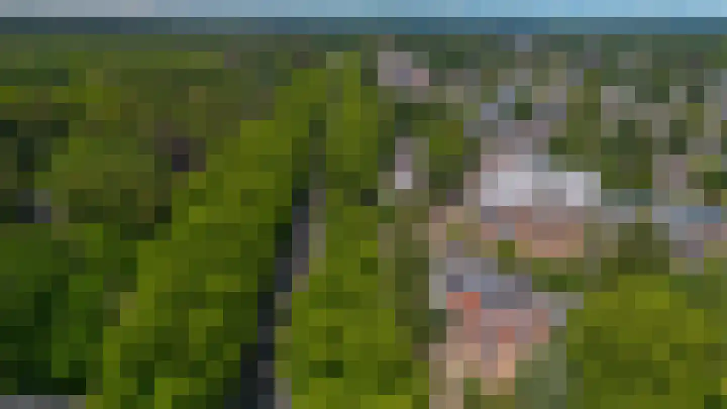 Bosweg 2 K Apeldoorn thumbnail 40