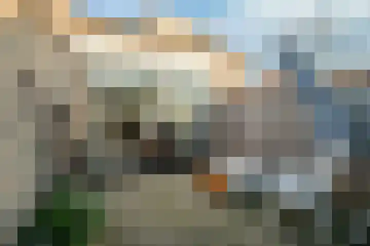 Bosweg 2 Montfort thumbnail 18