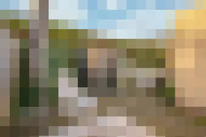 Bosweg 2 Montfort thumbnail 19