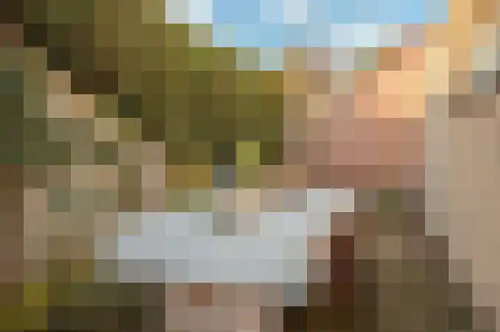 Bosweg 2 Montfort thumbnail 20