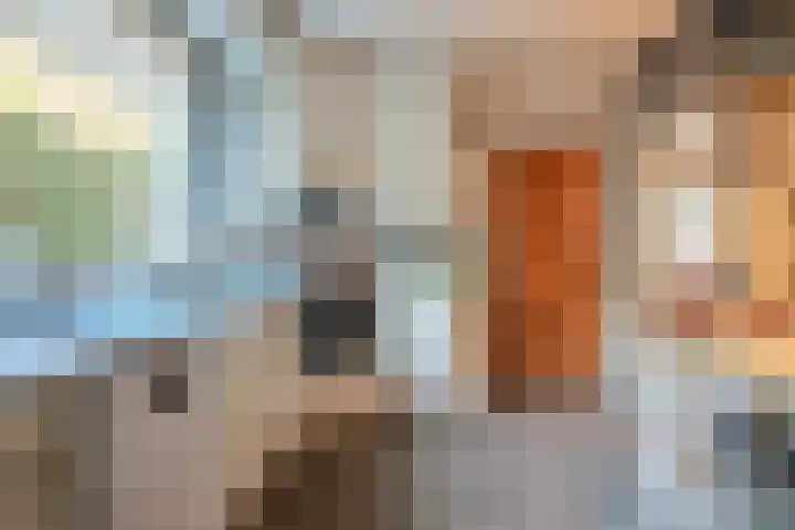 Bosweg 2 Montfort thumbnail 8
