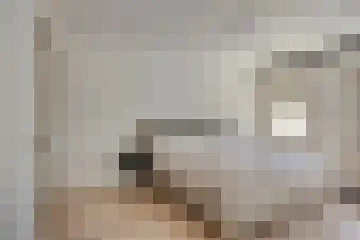 Bosweg 20 Strijen thumbnail 19