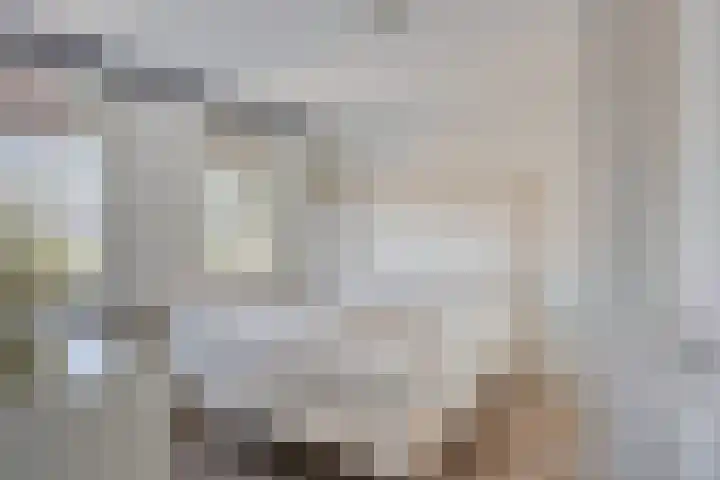 Bosweg 20 Strijen thumbnail 21