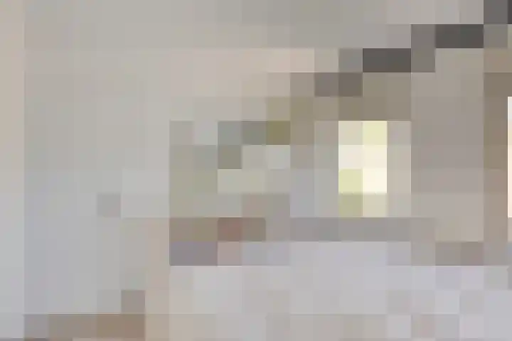 Bosweg 20 Strijen thumbnail 22