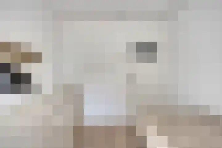 Bosweg 20 Strijen thumbnail 24
