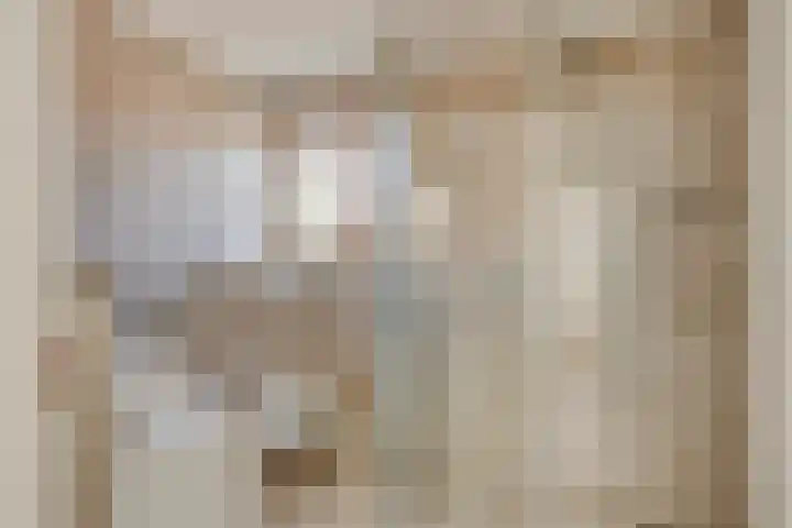 Bosweg 20 Strijen thumbnail 25