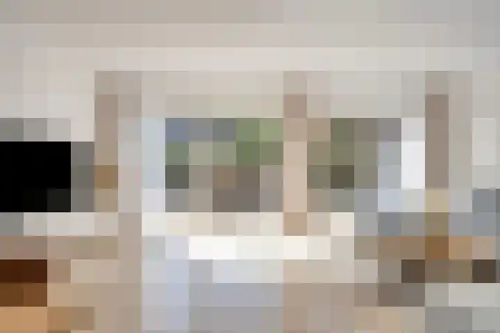 Bosweg 20 Strijen foto 3