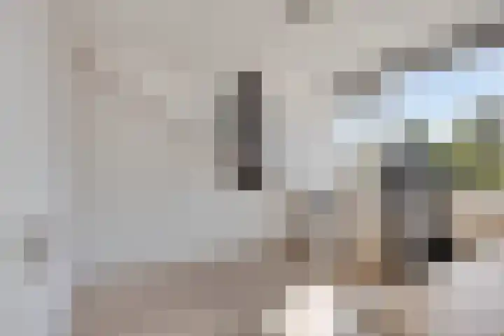 Bosweg 20 Strijen thumbnail 31