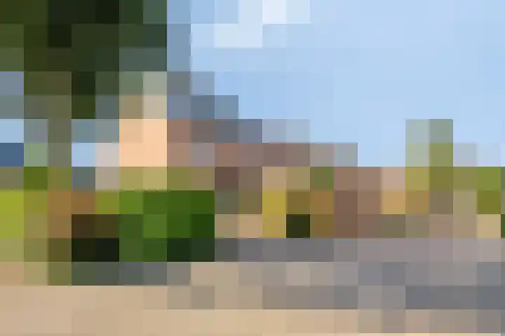 Bosweg 20 Strijen thumbnail 32
