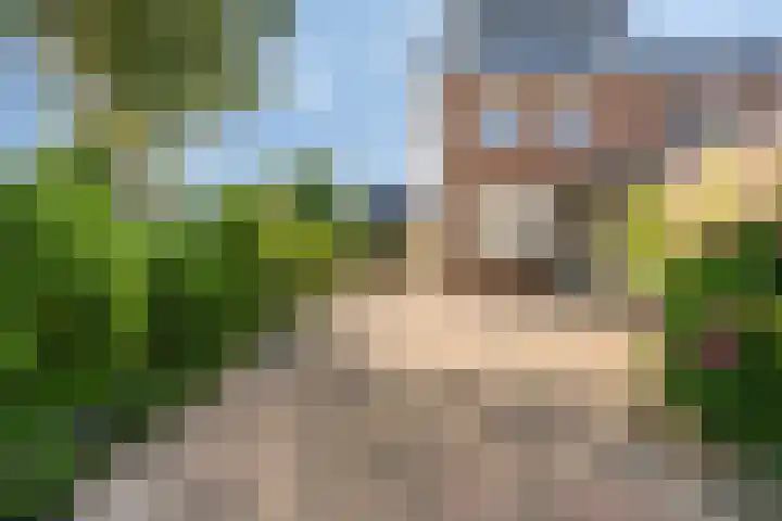 Bosweg 20 Strijen thumbnail 34