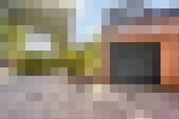 Bosweg 20 Strijen thumbnail 35