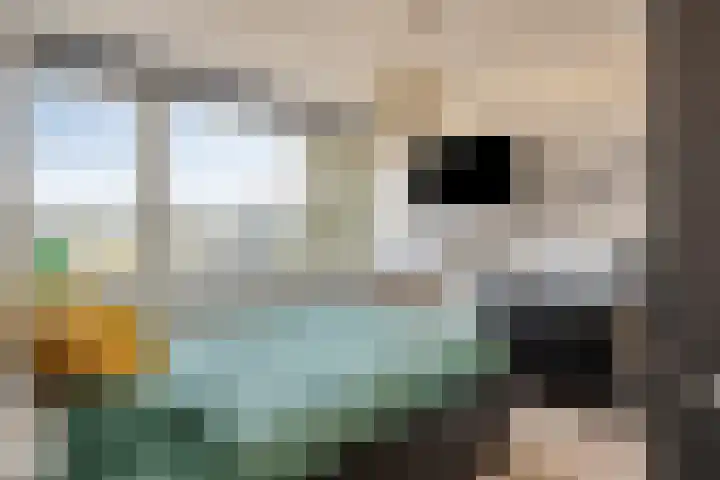 Bosweg 20 Strijen thumbnail 37
