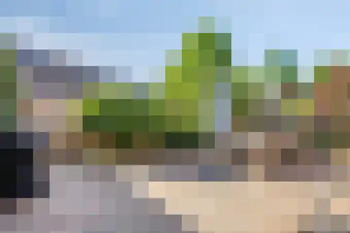 Bosweg 20 Strijen thumbnail 39