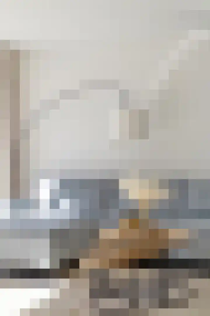 Bosweg 20 Strijen thumbnail 4