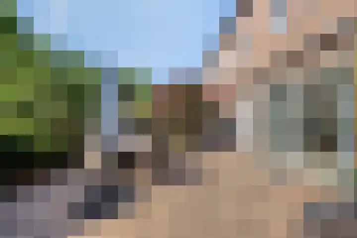 Bosweg 20 Strijen thumbnail 40