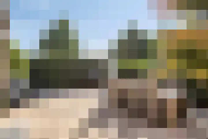 Bosweg 20 Strijen thumbnail 41