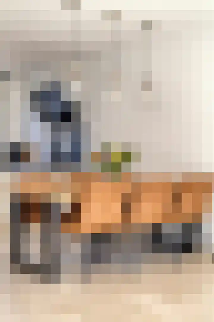 Bosweg 20 Strijen thumbnail 8