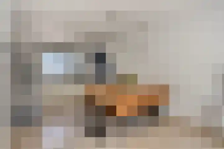 Bosweg 20 Strijen thumbnail 9